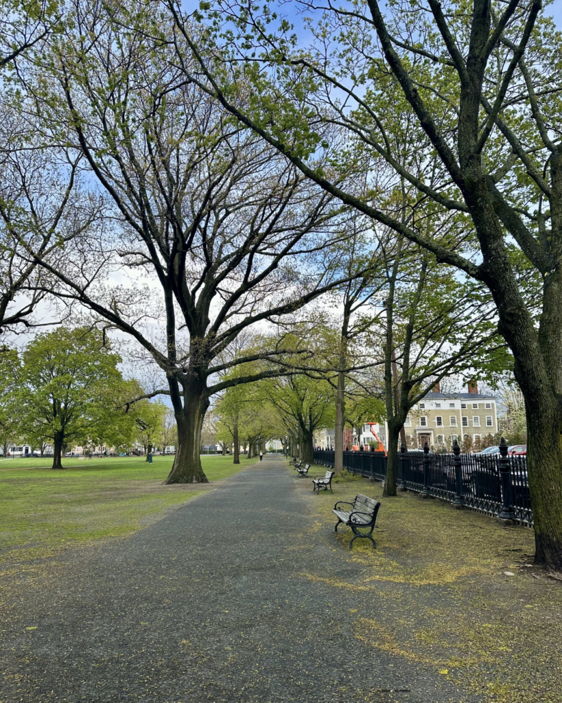 Gravel path lined with a few park benches. There are a few trees lining the path and grass on either side of the gravel.